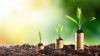 Radis posts improved financial results following review of contracts