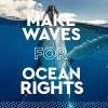 The Ocean Race Launches Campaign for a Universal Declaration of Ocean Rights