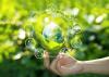 Cargill and Mars drive joint venture on Polish renewable energy