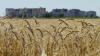 Agriculture Ministry: State keen on encouraging farmers to boost wheat production