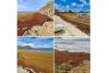 St Barts: Temporary swimming ban at bays with sargassum seaweed