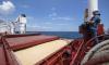 Argentina reopens ports after pilots trap 150 ships
