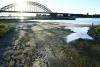 Low Rhine Levels Force Companies To Adapt To New Normal