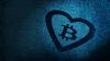 Michael Saylor Cheered a Rival’s $280 Million Bitcoin Buy Despite His Own Company Buying 85% Less the Same Week.
