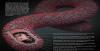Nigeria commiserates with DR Congo over Ebola outbreak