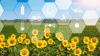 AgriStart launches in Romania to support early-stage agrifood startups