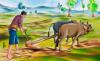 Agriculture is not just culture, it’s strategy