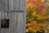Fall foliage varies from year to year, for leaf-peepers and trees