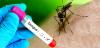 Government to reduce dengue infection rate by 60 percent in next five years