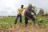 Ghana government to pilot 50 Farmer Service Centres in first year
