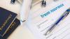 Berkshire Hathaway Data: Travel Insurance Demand Increases