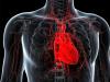 Scientists Discover a Diet That Can Prevent and Reverse a Key Type of Heart Disease